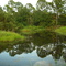 Nalle Grade Park