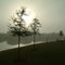 Coral Lakes Foggy Dawn