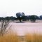 Dry riverbed