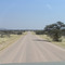 Namib road