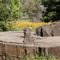 Hughson Arboretum