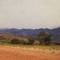 Namib rain (1985)