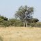 Unterwegs in Namibia