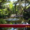 The Chinese Gardens in Lodi, beautiful landscape at Micke Grove