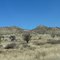 Savan near windhoek