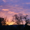 Sunrise from Olivet Road