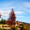 St. Francis Winery - Sonoma Valley