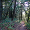 Annadel Park