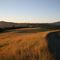 Sonoma Mountain
