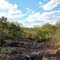 Kalahari Bush Break 1