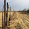 Fence Namibia Botswana Border