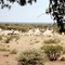 Steinhausen, Namibia