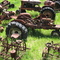 Old Farm stuff