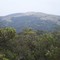 Mt. Toro from Simas Peak