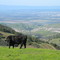 Top of Toro Park