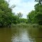 Tree blocking river left path