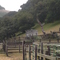 Toro Park Corrals