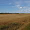 Reynolds North Dakota farm land