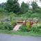 Butterfly Garden in Grand Isle SP, VT