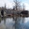 Fisk Quarry, Isle La Motte
