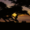 Carmel Sunset