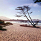 Carmel Beach