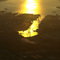 Tacoma Harbor at Sunset