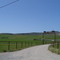 Ranchland near Casmalia
