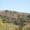 Orcutt Hill Oil Field