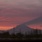 Mount Rainier sunrise shadow - 198201LJW