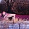 Little Red House