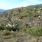 Arroyo Burro Trail, rotating counter clockwise