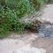 Spring water is up hill from here