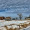 Photo taken in Weiser, ND, USA-Farmstead