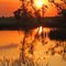 Sunset over a prairie slough