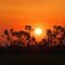 Prairie sunset