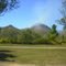 Bushfire