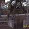 Roadside Park, Lufkin, Tx