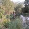 pescando en thermal