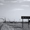 Mecca :: I always suspected it was in the Anza-Borrego wilderness
