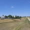 Looking north from Mineral Springs Township