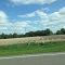 Mounds and Rows