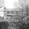 Cooley Spring's Homestead