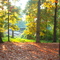 Fall in Goldston Park's woods!