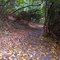 Tanawha Trail - Beacon Heights to Julian Price