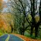 Autumn's Last Gasp