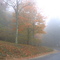 Fall in the Fog