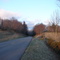 Parkway early spring