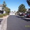 mintage lane