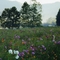Mountain Valley